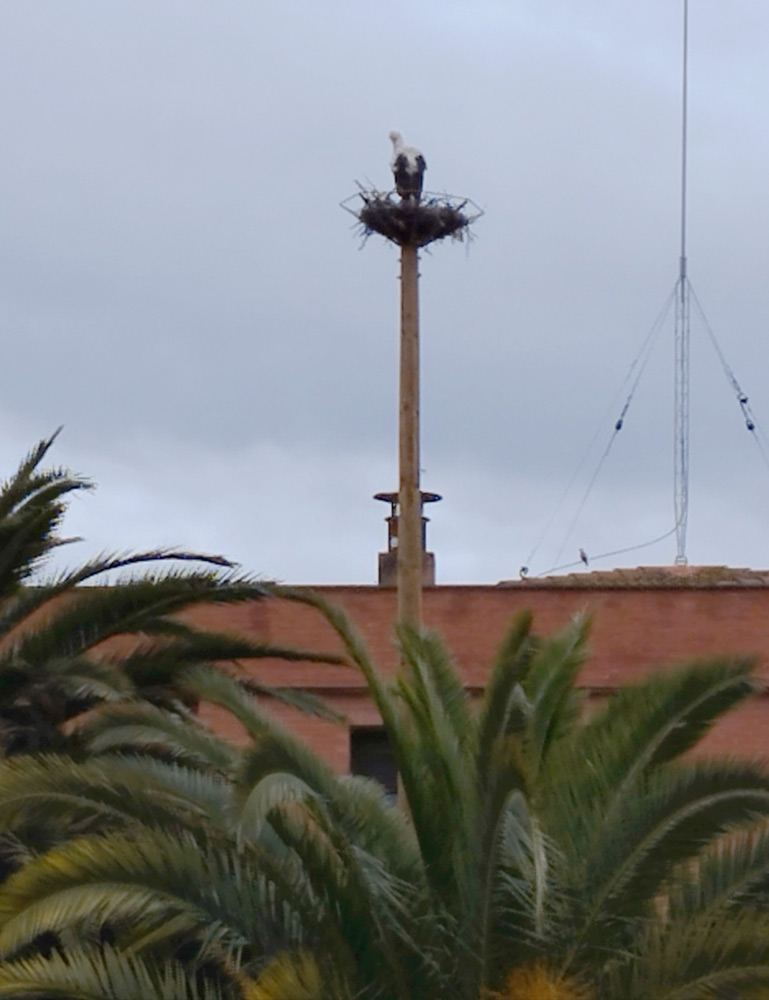 imenamontes-obras-ciguenia01